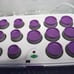Calista Maria McCool Heated Self Grip Rollers Comes Without Clips
