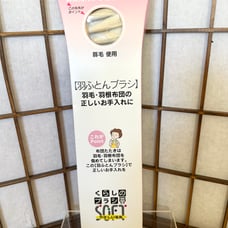 Giant Toothbrush