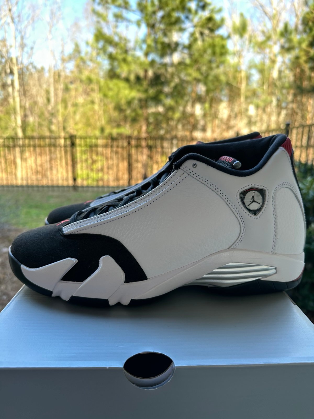Jordan 14 Black Toe (2024)
