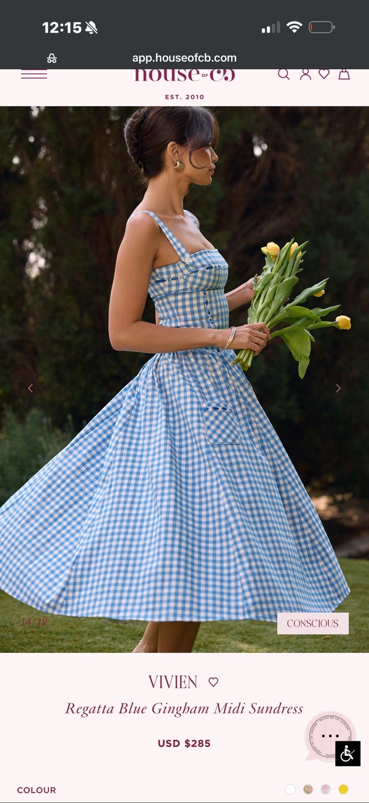 House of cb blue gingham cottage core dress