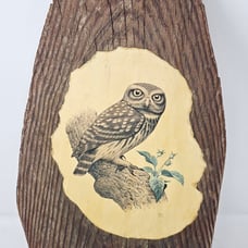 Vintage Decopauge Owl Picture On Standing Wood ~Picture By Murr Signed 1958