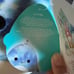NWT Luther the Shark Series 1 Squishmallows Backpack 8”