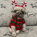 NEW Blue Sky Ceramic Christmas Pug in Red & Green Sweater approx 10” tall