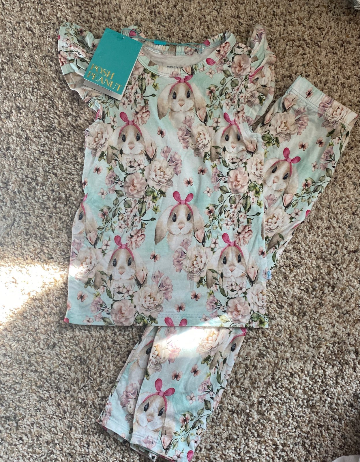 Posh peanut babs 2t nwt flutter sleeve lounge