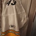 NFL Jersey- Steelers #43 Polamalu
