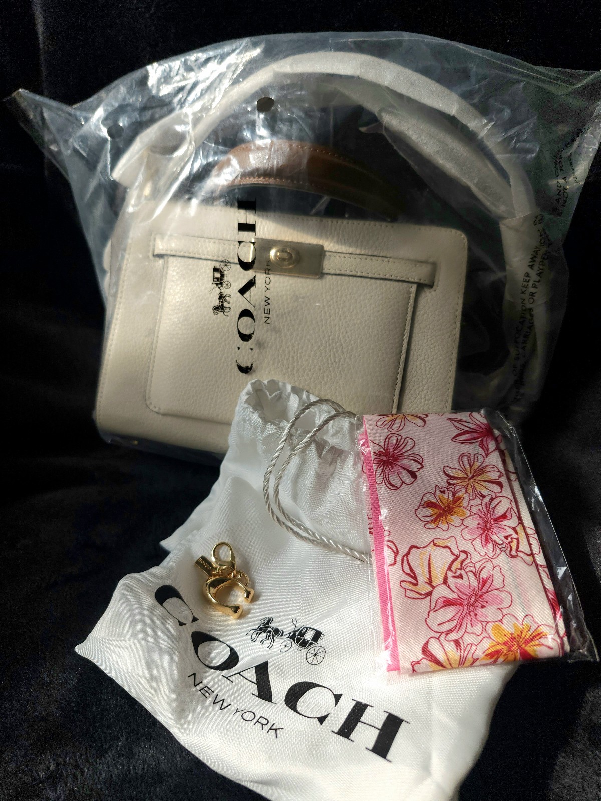 Coach - Mini Lane in chalk NEW w tags!