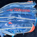 Baseball glove