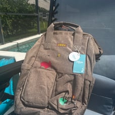 Disney bag