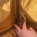 Disney bag