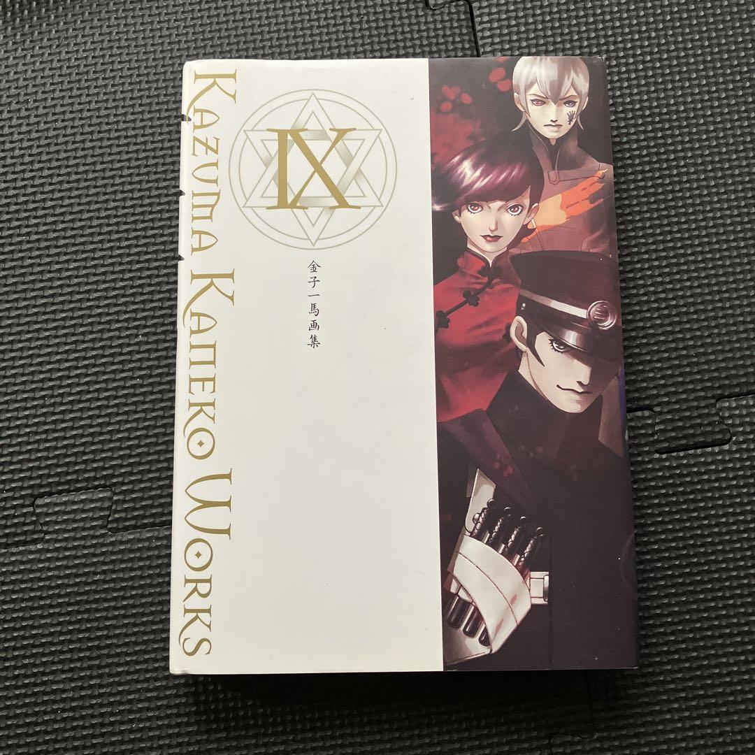 This is a collection of artwork by Kazuma Kaneko, volume 4.