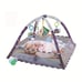 Baby Play Mat Activity Gym With Ball Pit-4SDF