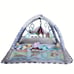 Baby Play Mat Activity Gym With Ball Pit-4SDF