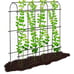6 ft metal Trellis