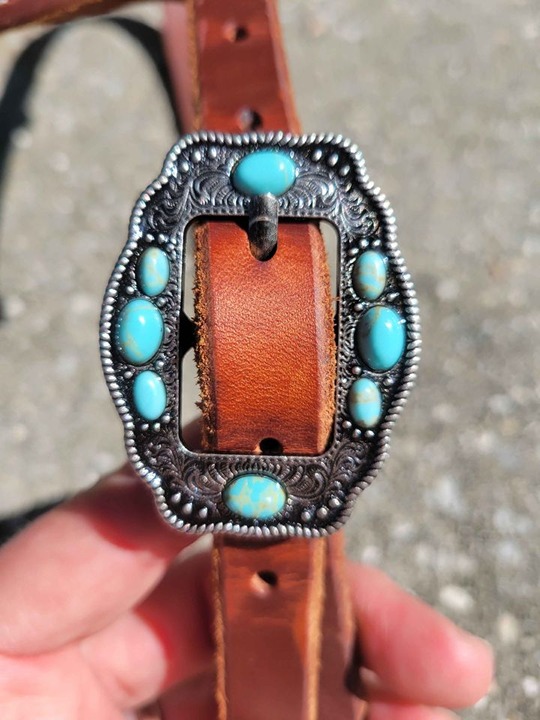 Great one ear Bridle