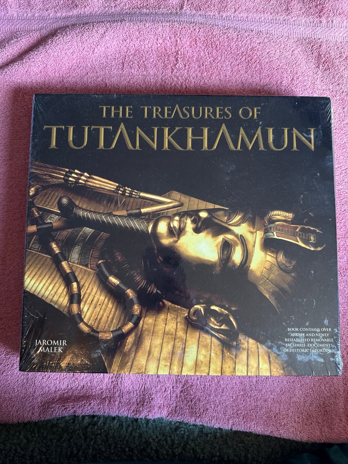 The Treasures of Tutankhamun