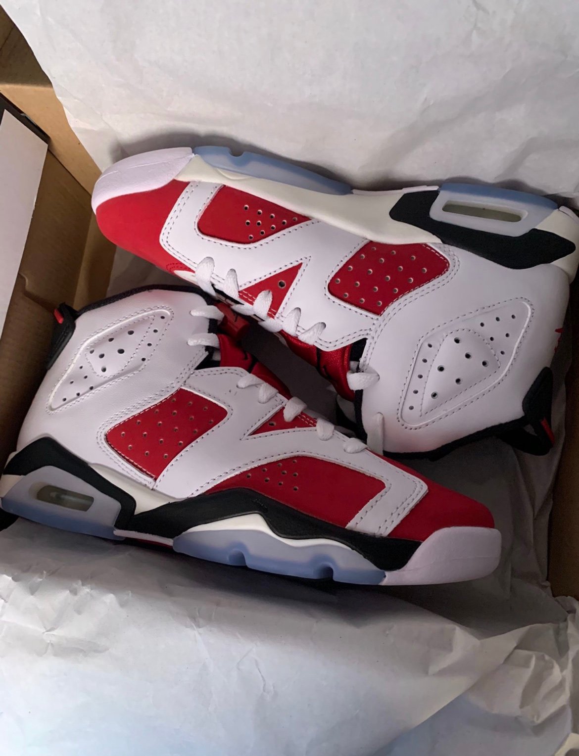 Retro Jordan Carmine 6s