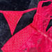 Red Sweetheart Lingerie Set