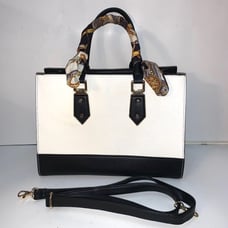 ALDO purse