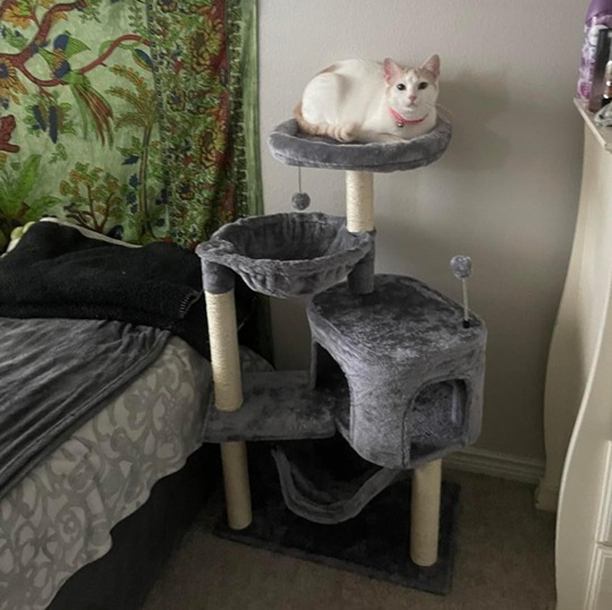 Cat Tree with Cat Condo and Big Hammock，Grey