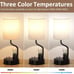 Set of 2 Table Lamps with USB & AC Charging, 3 Color Temperatures, Phone Holder.