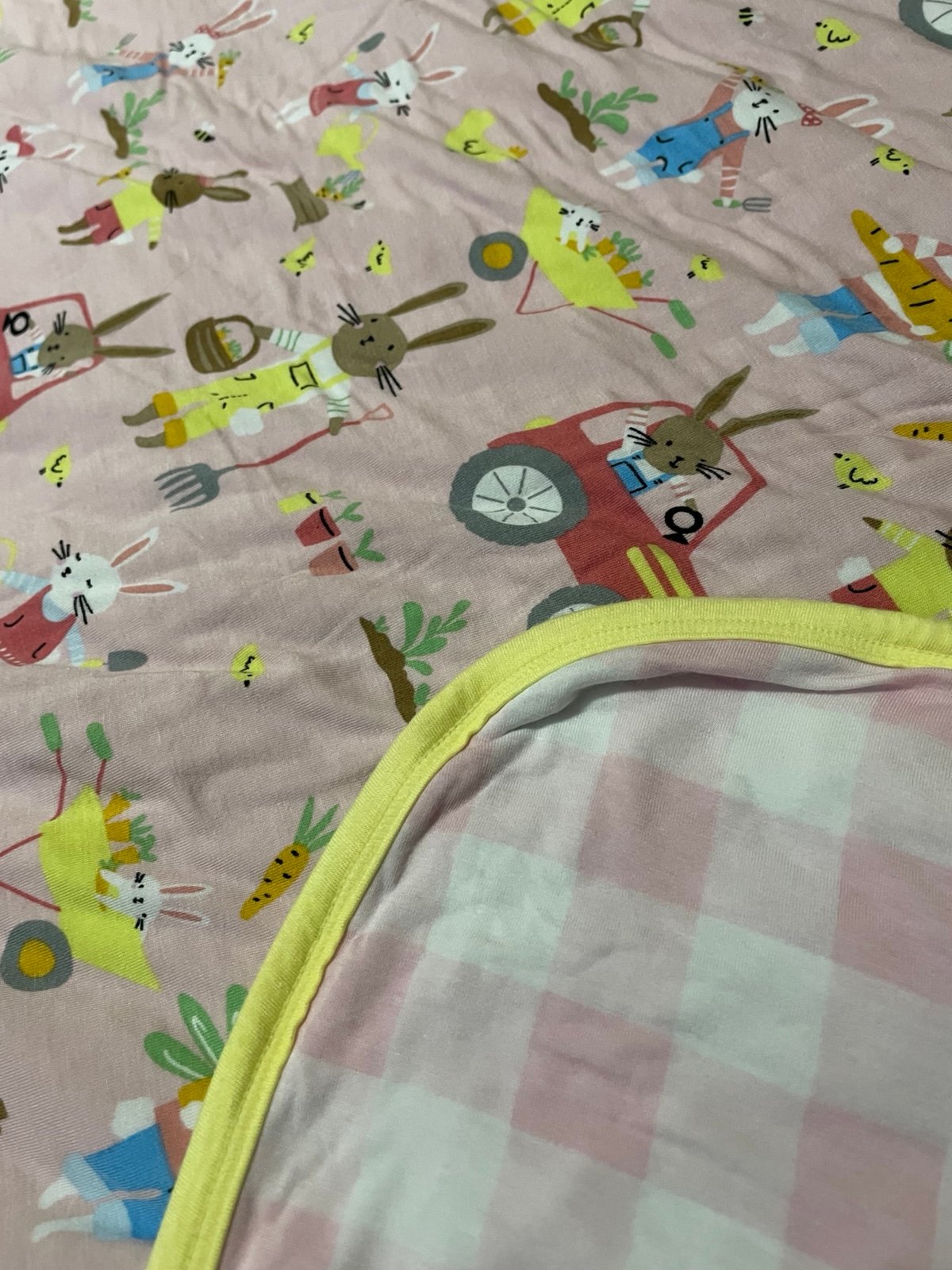 Little Sleepies Hop To It Cloud Blanket