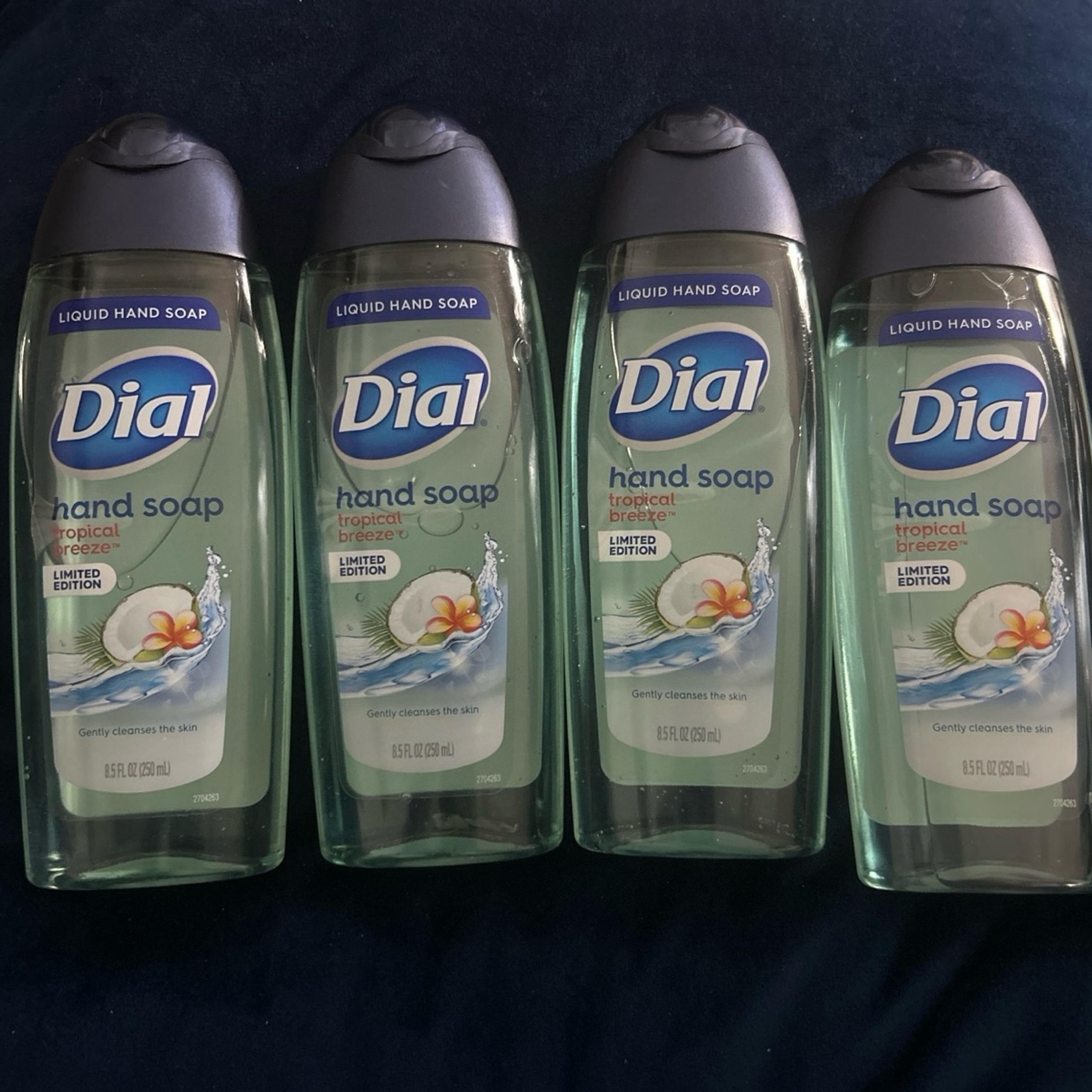 Dial Hand Soap - Bundle of 4