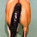 Breyer American Paint Horse 1147 San Domingo Dun Tobiano Pinto 2000-2002