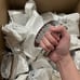 50 stainless steel garlic press , nut cracker , cheese file bulk pricing