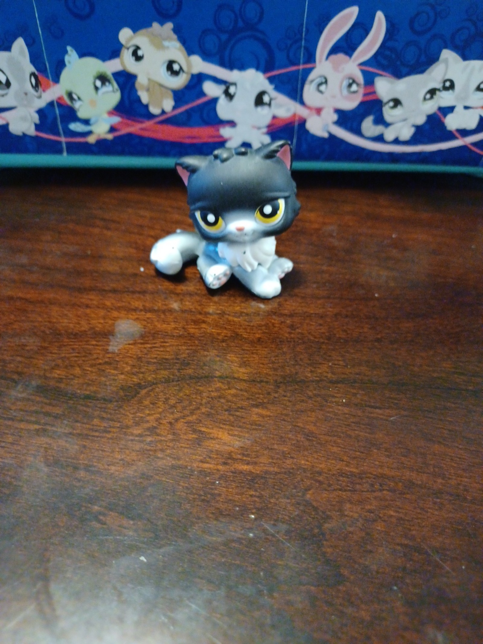 Lps black persian, yellow eyes