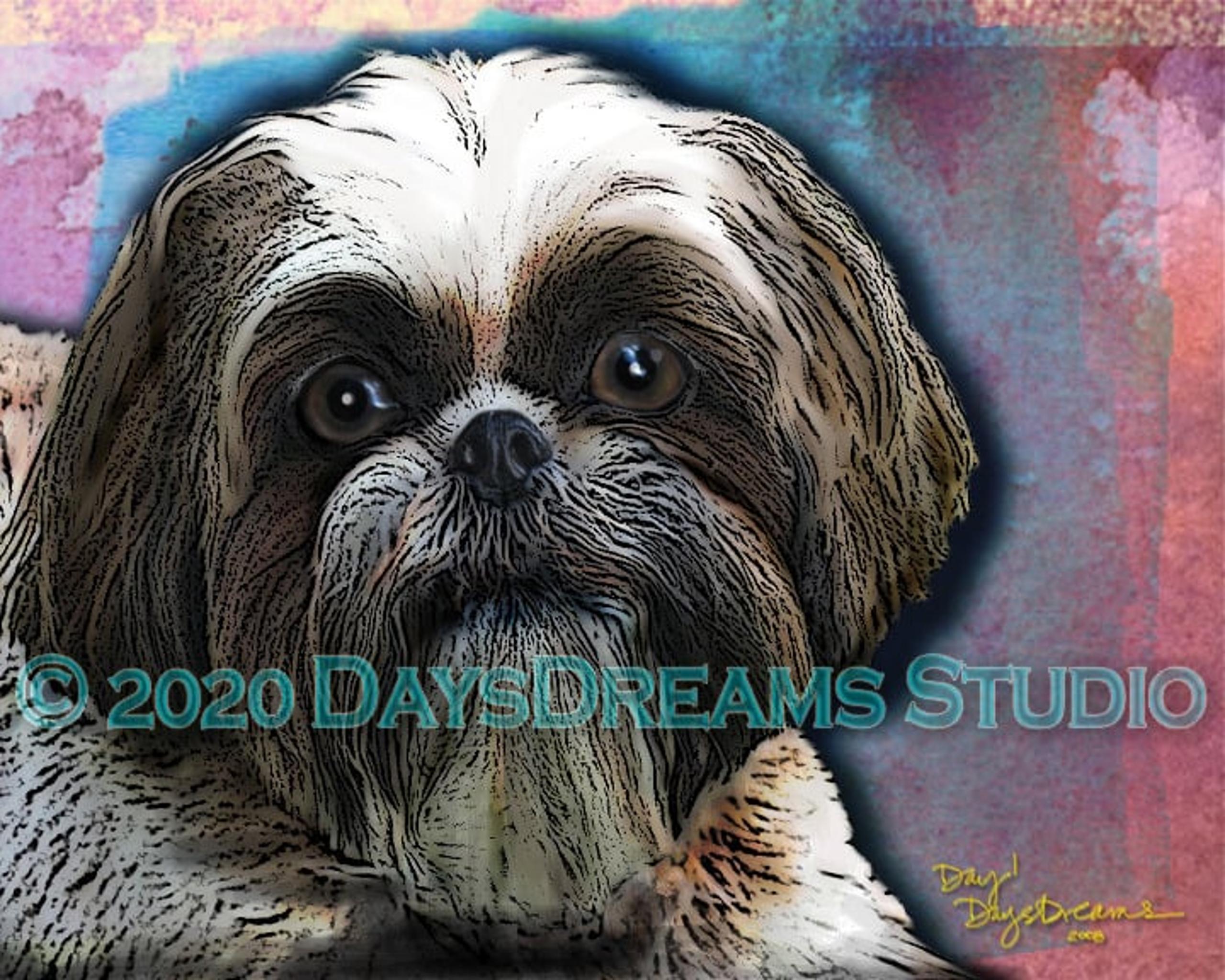 Shih Tzu Shitzu Pet Wall Art Print 8.5x11 (*P)