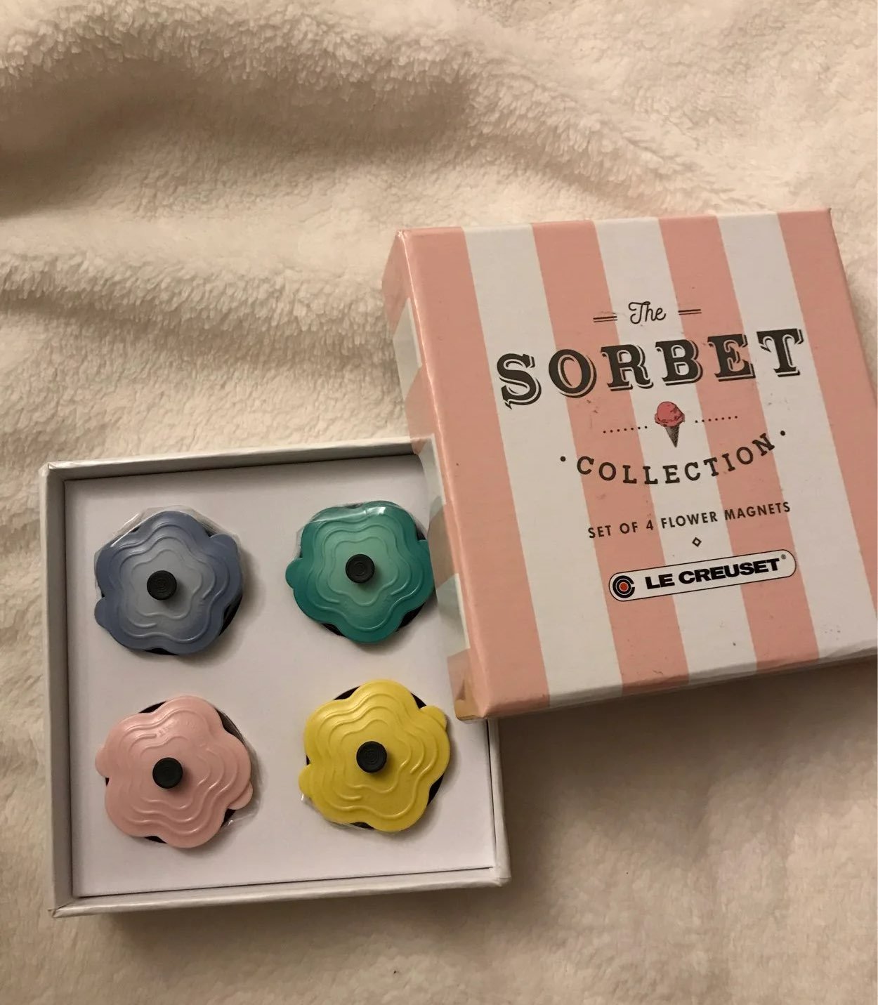 The Sorbet Collection 4 Flower Magnets