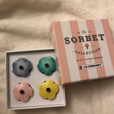 The Sorbet Collection 4 Flower Magnets