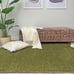 Alfa Rich 4x6 Area Rugs, Solid Green Rug, Cotton Soft Modern Washable Rugs