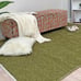 Alfa Rich 4x6 Area Rugs, Solid Green Rug, Cotton Soft Modern Washable Rugs