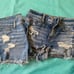 American eagle bundle