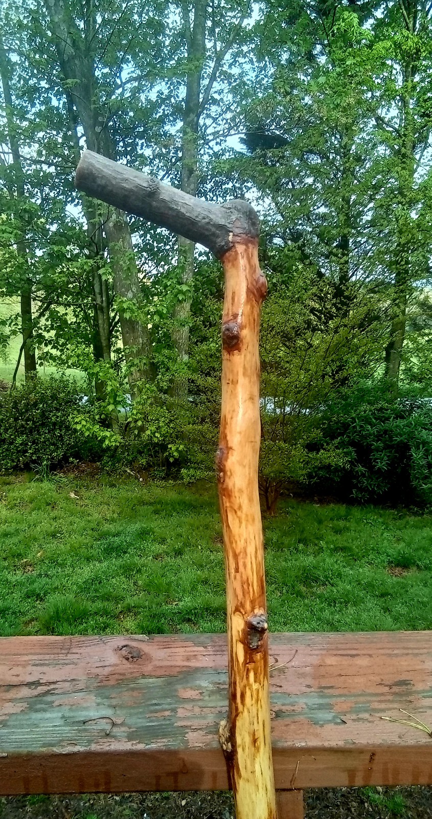 Trail Sticks hand crafted