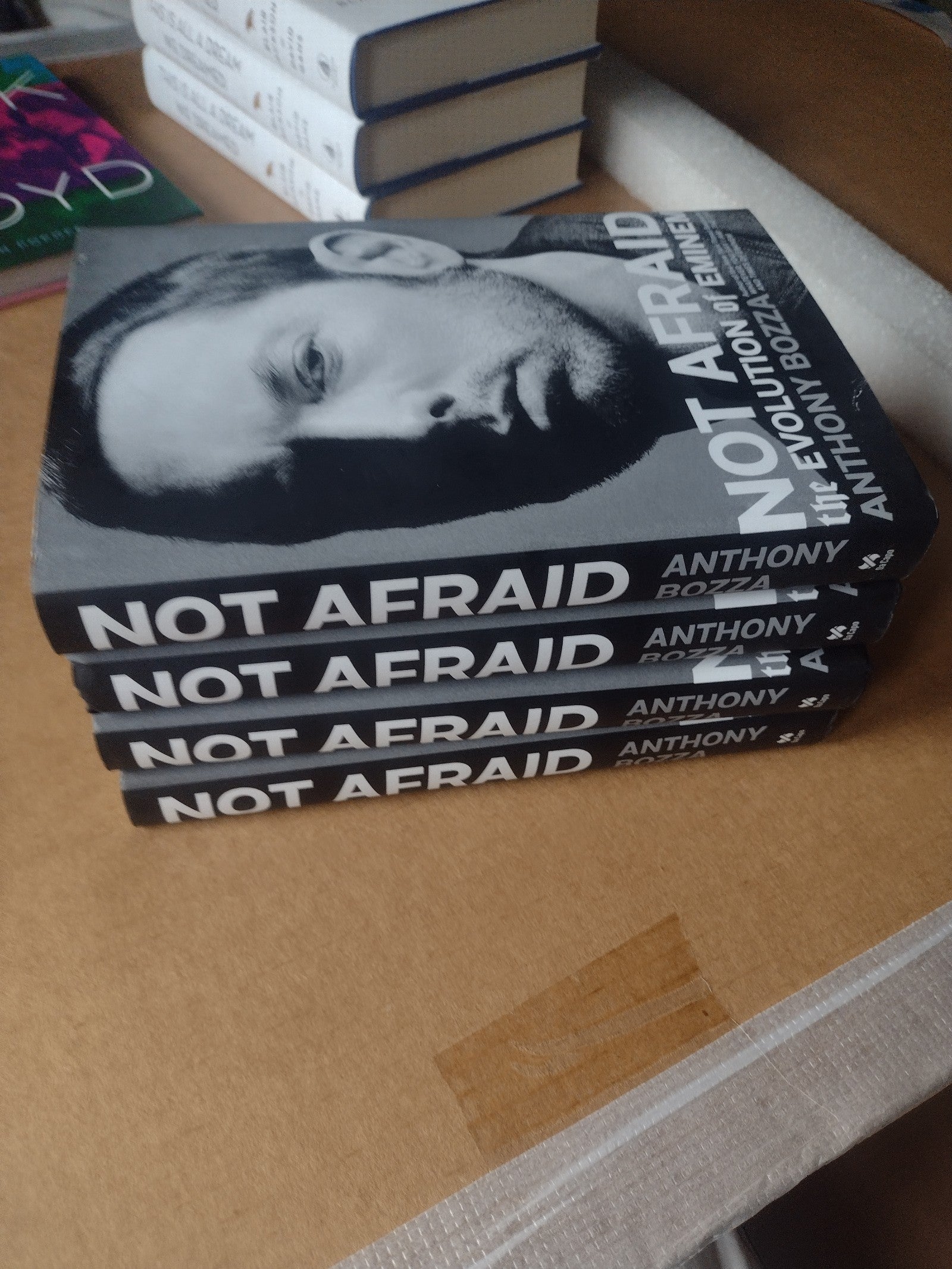 NEW EMINEM Book NOT AFRAID Evolution Of Eminem by Anthony Boazza 2019 Slim Shady