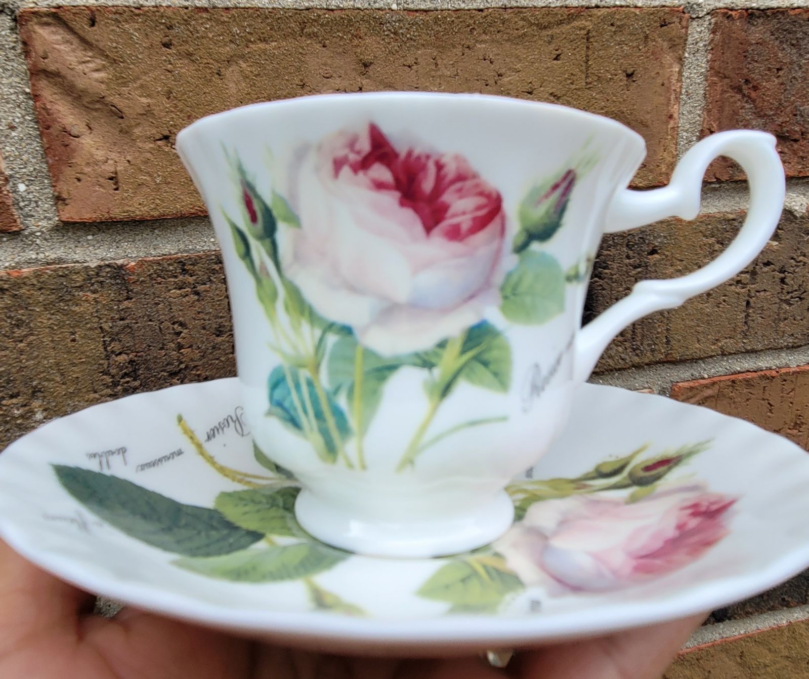 Teacup and Saucer