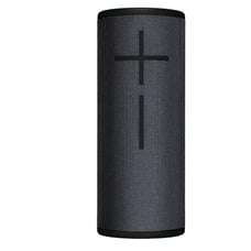 Boom speaker