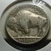 1929-D ,Denver 5c buffalo nickle