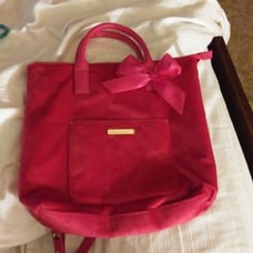 Juicy Couture Purse