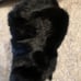 Handmade Real Rabbit Fur Sensory Mit (no thumbs) Size OSFM