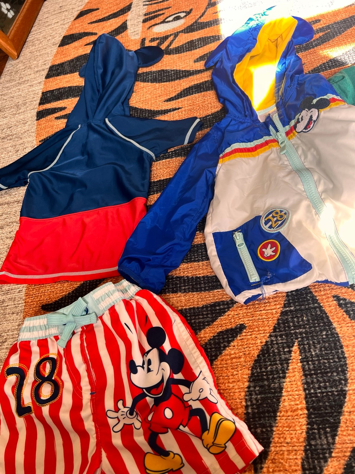 Boys Disney lot swim Mickey Mouse