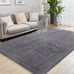 Fluffy Shag Area Rug, 4x6 Grey Rugs for Bedroom, Soft Plush Area Rugs