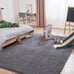 Fluffy Shag Area Rug, 4x6 Grey Rugs for Bedroom, Soft Plush Area Rugs