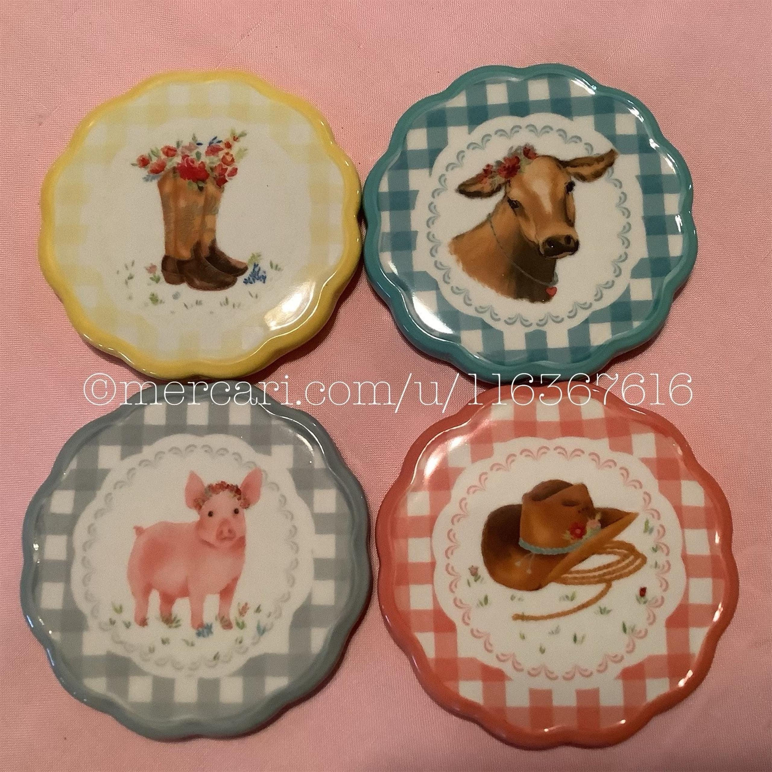 Pioneer Woman Gingham Novelty Coasters Set