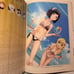 Shomin Sample Official Fan Book