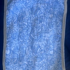 Sigrid Olsen Pillow Shams STANDARD 2 Pc Set Quilted COASTAL Blue starfish shell