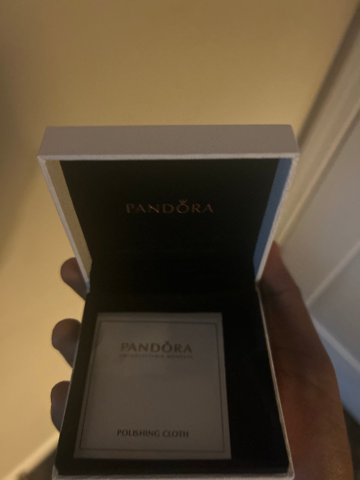 PANDORA bracelet with charms