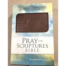 Pray the Scriptures Bible 2012 In Box First Printing God's Word Translation